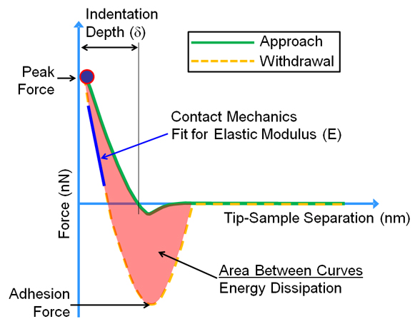Force Separation Curve